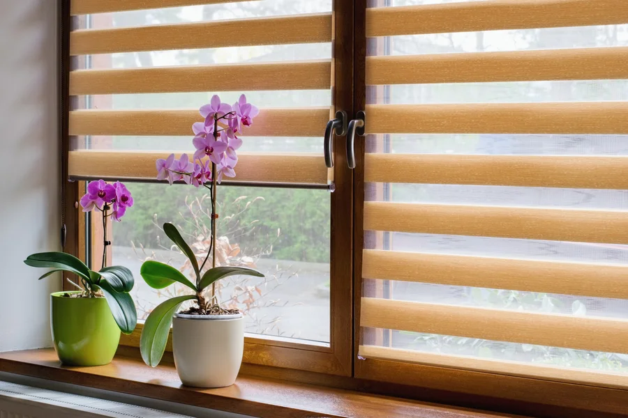 Blinds